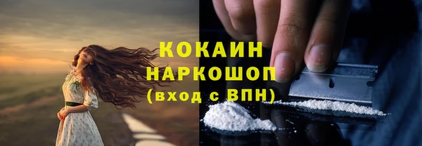 МДПВ Заводоуковск