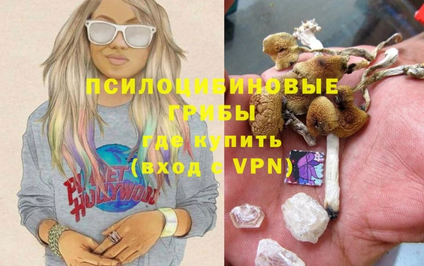 a pvp Инсар
